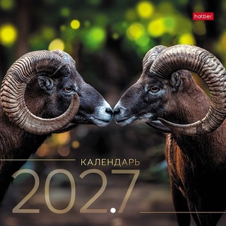 Календарь на скрепке  12л "Знак Года" 21*21 12Кнп5_35946 096174 Хатбер