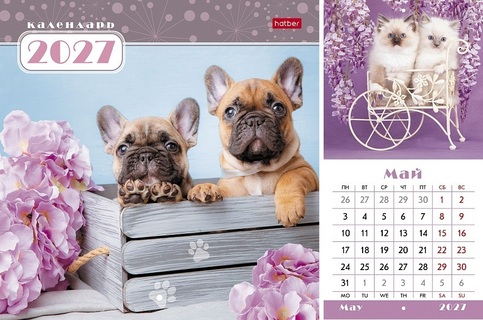 Календарь на скрепке  12л "Наши верные друзья" 21*21 12Кнп5_30183 096172 Хатбер