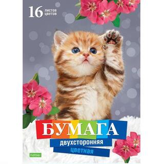 Цветная бумага А4 16л 16цв двухстороняя 16Бц4_20982 059758 "Котенок" Хатбер