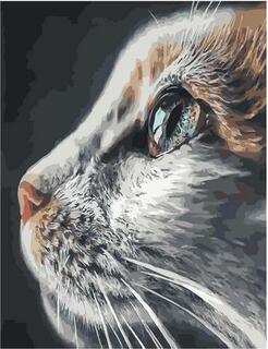 Картина для рисования по номерам "Взгляд кошки" 40*50см GX 37082
