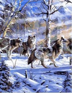 Картина для рисования по номерам "Стая волков в зимнем лесу" 40*50см GХ26514