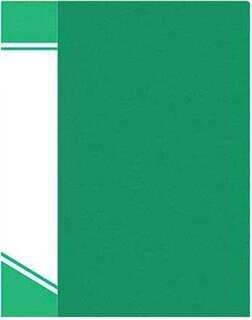 Папка  20 файлов "inФормат" А5 550мкм NP01А5-20G зеленая