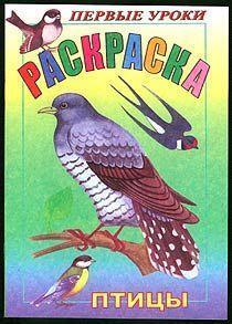 Раскраска "Первые уроки.Птицы" А5 8Рц5_03068  Хатбер