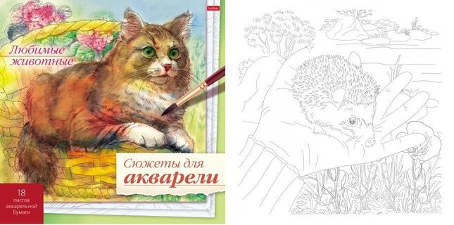Раскраска "Сюжеты для акварели.Любимые животные" 210*210мм 18Р4_26268 Хатбер