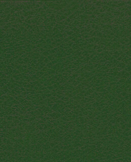 Тетрадь 96 л "Бумвинил.Зеленый" клетка 11548 АкХолд