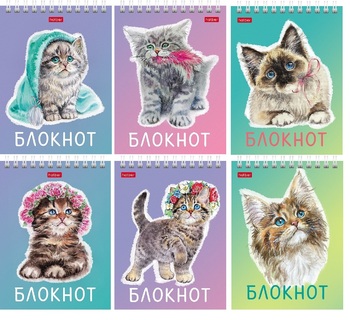 Блокнот А6   40л "Котики бывают разными" спираль 40Б6В1гр 080474 Хатбер