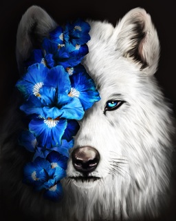 Картина для рисования по номерам "Белый волк" 40*50см  МСА1891
