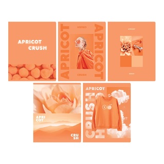 Тетрадь 48  л "Apricot" клетка Т5ск48_лм 12721 BG