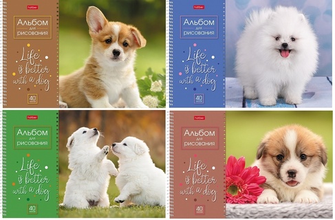 Альбом для рисования 40л "Doggie Щенки" спираль перфорация 40А4Всп 067478 Хатбер