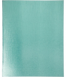 Тетрадь 48 л  "Бумвинил.Metallic" мята линия 48Т5бвВ2(017) 066307 Хатбер