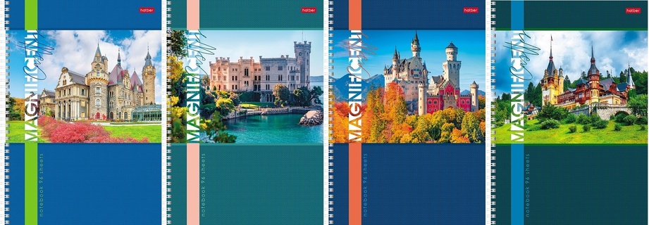 Тетрадь А4  96 л "Великлепные замки" клетка гребень 96Т4В1гр 083126 Хатбер