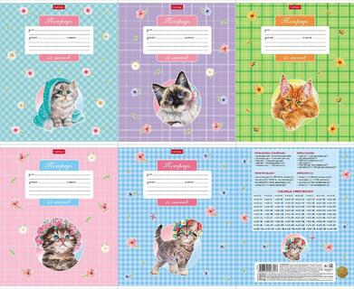 Тетрадь 12л "Котики бывают разными" клетка 12Т5В1 086069 Хатбер