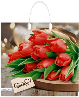 Пакет  37*35 "Спасибо.Тюльпаны" 90мкм с пластиковой ручкой 1892