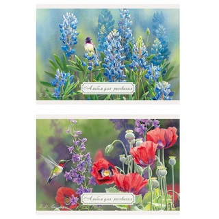 Альбом для рисования 20л "Wild Wings" склейка выб. лак WW191/2 АкХолд