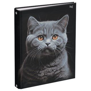 Тетрадь А5 160 л на кольцах "Кот" ТТ5к160_лг 62925 BG