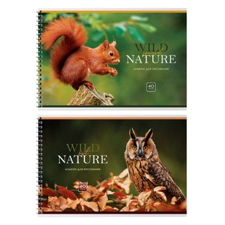 Альбом для рисования 40л "Wild nature" гребень АР4гр40 58146