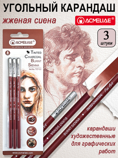 Карандаши угольные  3 шт "ACMELIAE" жженая сиена TCP-02