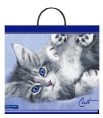 Пакет  37*35 "Кот" 90мкм с пластиковой ручкой 755