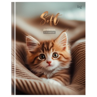 Дневник школьный 1-4 кл обложка твердая "Soft" Д5т48_лм 64740 BG