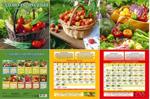 Календарь на скрепке  12л "Сад и огород.Лунный календарь" 285*285 Атберг 0226005