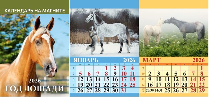 Календарь магнитный 2026 отрывной "Год лошади" 12л 9*13см 1126008 Атберг