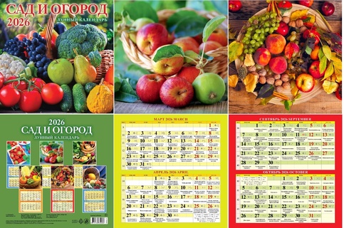 Календарь на скрепке   6л "Сад и огород.Лунный календарь" 285*285 Атберг 0426005