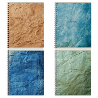 Тетрадь 96 л "Оттенки бумаги" клетка гребень Т5гр96_лм 08563 BG