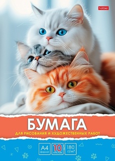 Папка для художественных работ А4 10л "Белый, Серый, Рыжий" 180г/м² без рамки 10Бр4тA_34881 092574