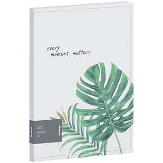 Папка с пруж\скоросшивателем+карман "Berlingo.Eco" 17мм 600мкм FS4_17801 прозрач