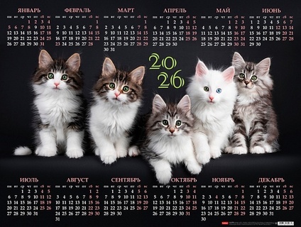 Календарь листовой А2 2026 г "Котосессия" мелов.бум. Кл2_33887 092258 Хатбер