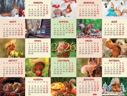 Календарь листовой А2 2026 г "Пушистые белочки" мелов.бум. Кл2_33726 092211  Хатбер