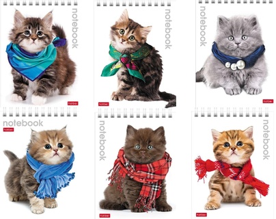 Блокнот А6   40л "Милые котята" на гребне лак40Б6В1гр 004667 Хатбер