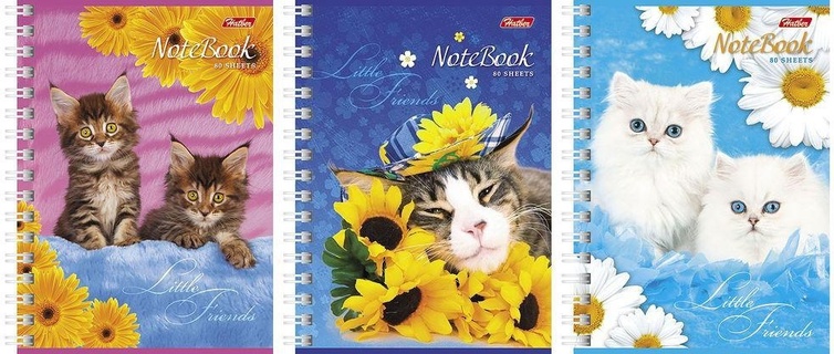 Записная книжка А6   80л  "Милые котята" на гребне 80ЗК6В1гр 030957 Хатбер