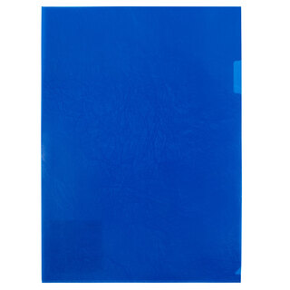 Папка уголок А4 "Expert C.Premier" синяя 180мкм EC21030002