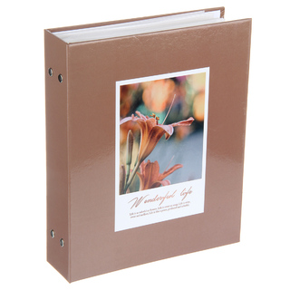 Фотоальбом 200 фото "Цветы в рамке.Коричневый" 134263 PP-46200