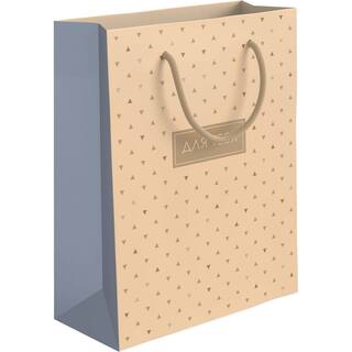 Сумка ламинированная 18*23 "Акценты.Бежевый" ACMV-1823-GLOS (5248)