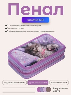 Пенал 3 отд "Что снится котикам?" 190*110мм NPn_48110 Hatber