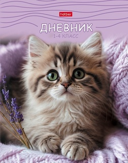 Дневник школьный 1-4 кл обложка твердая "МяУсы" 48ДмТ5В_35801 094886 Hatber