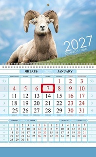 Календарь одноблочный "2027-Знак года" цветной блок 1Кв1гр4ц_36235 096111 Hatber