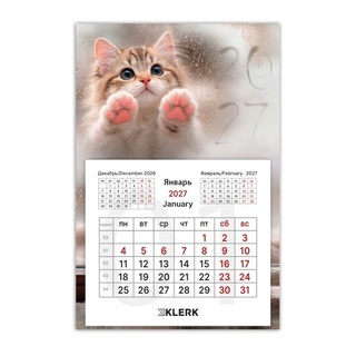 Календарь магнитный 2027 отрывной "Котенок" 10*15см 270032 KLERK