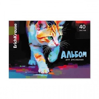 Альбом для рисования 40л "Уличный кот" склейка 58325 ErichKrause