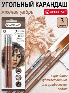Карандаши угольные  3 шт "ACMELIAE" жженая умбра TCP-01