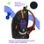 Рюкзак "Berlingo Comfort.Starry fox" 38*27*18см 3отд эрг.спинка RU09112