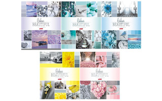 Тетрадь 96 л "Красивый цвет" клетка 96Т5В1 046858 Хатбер