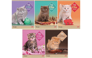 Тетрадь 48 л "Котята" линия 48Т5В2 047012 Хатбер