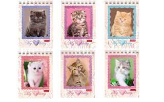 Блокнот А7  40л "Котята" на гребне 40Б7В1гр 051116 Хатбер