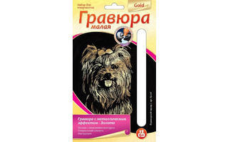 Гравюра "Йоркширский терьер" малая с эффектом золота Гр-218