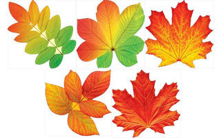 Открытка мини "Школа/Осень" №170