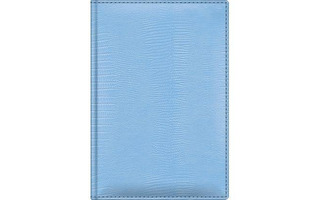 Ежедневник А5  176л УЦЕНКА "Hatber/Berlingo.Tijus iguana" голубой недат. 176Ед5_03625