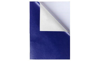 Тетрадь А4  96 л "Бумвинил" синяя клетка 96Т4бвВ3(160) 047622 Хатбер